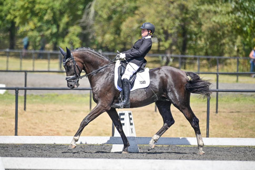 How to Wash your Merino Saddle Pad with Felicity Weal